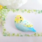 セキセイインコ レインボー インコ いんこ とり 鳥 ブローチ マグネット 小鳥