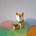 お出迎えワンコ《しば＆チューリップ》