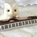 『napppi様ご予約品』★ペンケース★・・・ワイルド～？！鍵盤♪♪♪