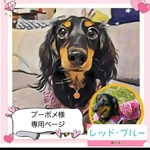 プーポメ様 専用ページ