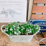 待望入荷♡毎年楽しめる小花【カーペットカスミソウ】たっぷり寄せ植え！かっこいい系ブリキ鉢！かすみ草！宿根草