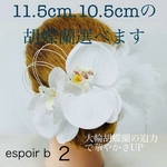 2b 胡蝶蘭 ～成人式・結婚式の髪飾りセット～ 白 ホワイト 和装 振袖 袴 白無垢