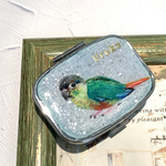 手のひら絵画　❤︎  ウロコインコ　ピルケース 小物入れ　アクセサリーケース