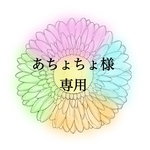 あちょちょ様専用🌸