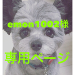 emon1002様専用ページ