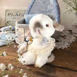 ‧˚₊*̥Baby's breath‧˚₊*̥幸せのかすみ草𓍯·°tenori  teddy  rabbit 