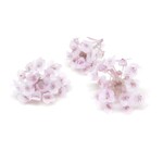 【アリッサム】ライラック 5房 プリザーブドフラワー 