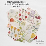 約38㎜❤︎ 写実的な植物画が美しいボタニカルアートシールセット ❤︎46枚入り-934