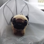 わんこ。