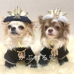 サイズが選べる！ かぶれる兜 （正月 こどもの日 初節句 七五三 布兜100日祝い ハーフバースデー 1歳 誕生日 犬 猫 うさぎ ベビークラウン 端午の節句