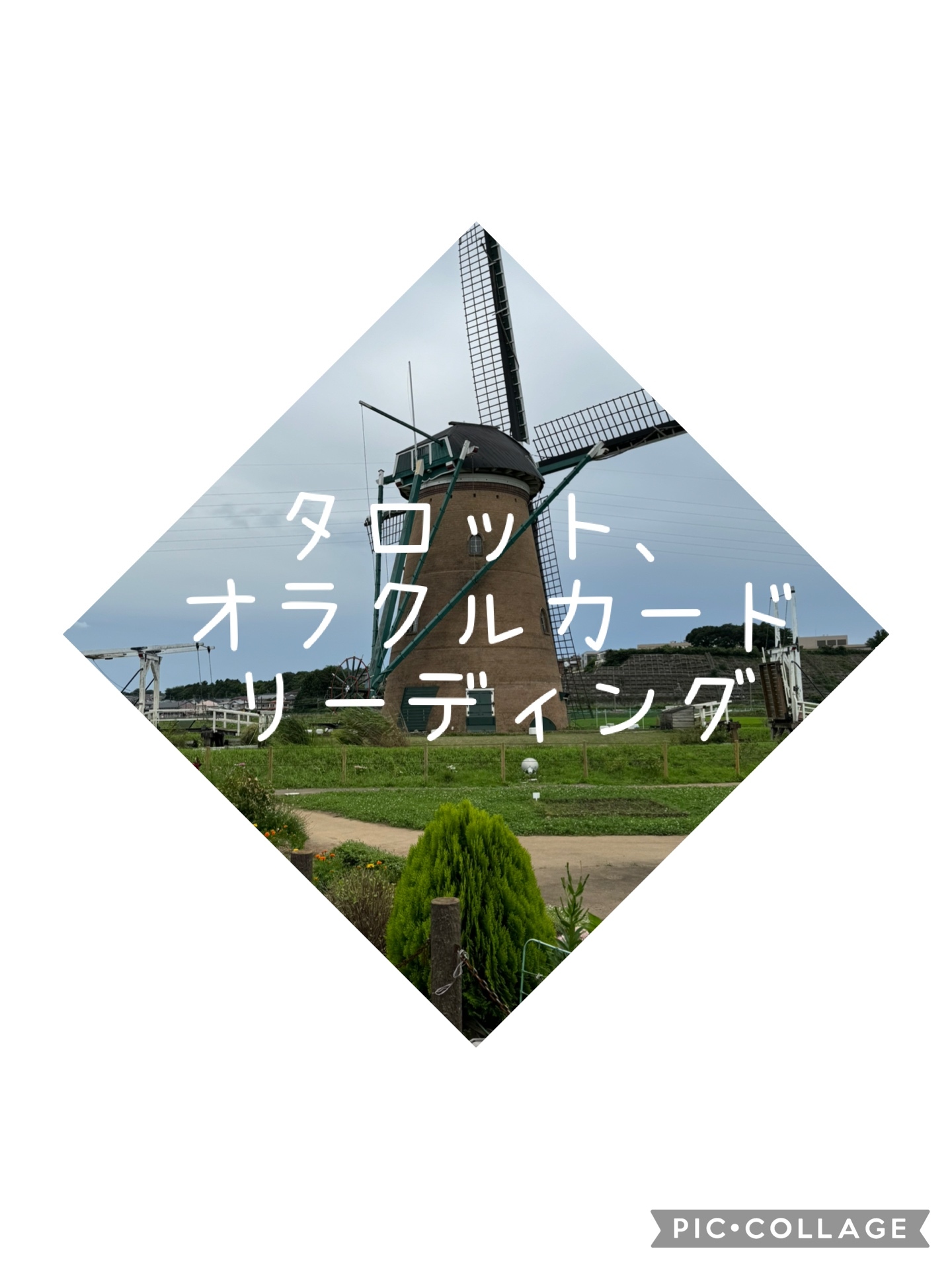 60分タロット、オラクルカードリーディング