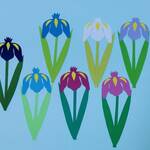 花菖蒲（いろいろver.）花３輪〈5月の壁面〉　画用紙　壁面飾り　保育園・幼稚園・学校・図書館その他施設