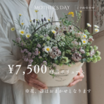 母の日寄せ植えギャザリング花籠7,500