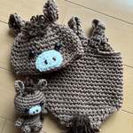 月齢フォト　ニューボーンフォト　コスチューム  うま