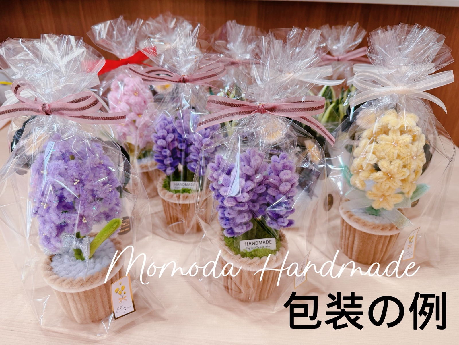モールフラワー 可愛いサボテンの鉢植え 2個セット ハンドメイド