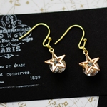 crystal star ピアス/イヤリング