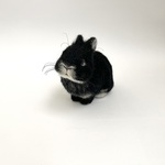 うさぎ 羊毛フェルト ネザーランドドワーフ ミニうさぎ 