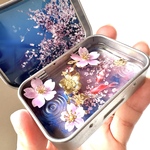 【4/20 21時〜販売開始】 KINGYO CAN(金魚缶)★premium〜2025夜桜(お写真のものをお届けします) 