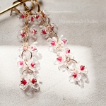 Sunamachi No.1688 cherry