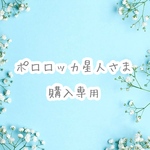 ポロロッカ星人さま 購入専用