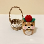 柴犬だるま頭のせシリーズ🌷チューリップ 