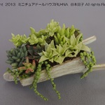「押し車と多肉植物」 / ミニチュアドールハウス