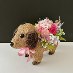 Miniature Dachshund arrange「受注制作」