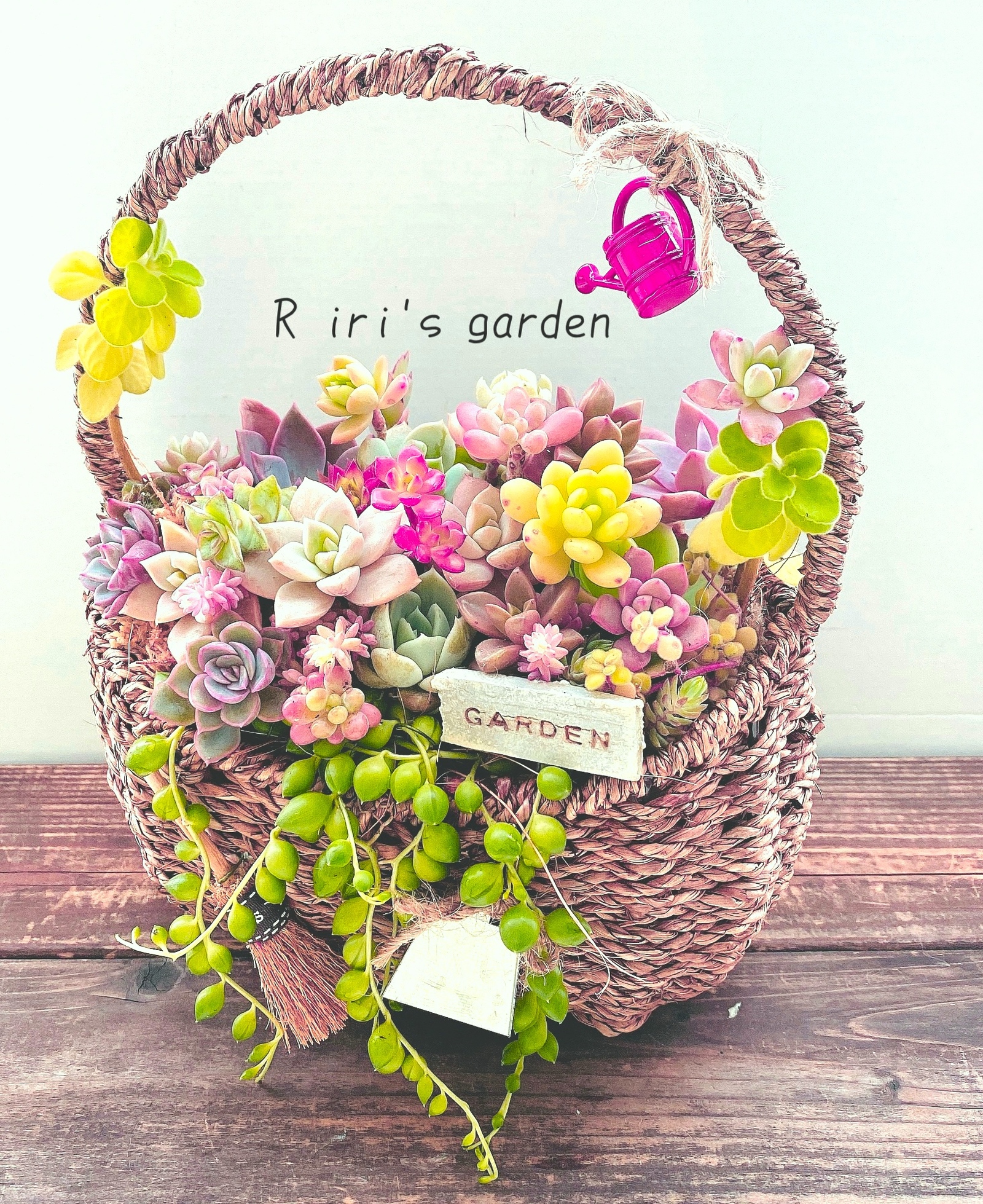 多肉植物寄せ植え グリーンネックレス🌵 - R iri's garden | minne