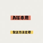A様専用※発送方法変更