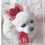 ふわふわおリボン💐🌸🌷プリンセス(レッド)