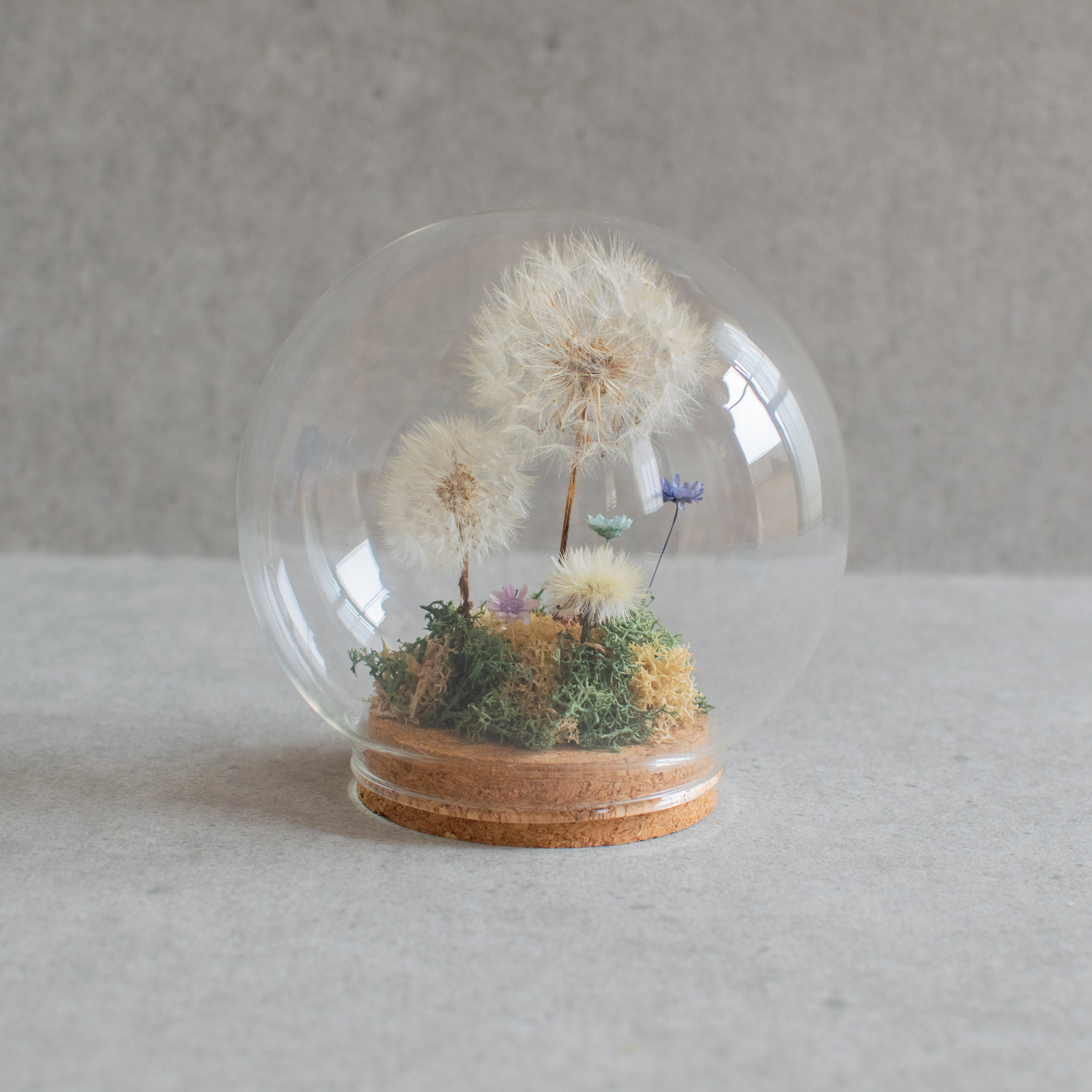 ハンドメイドドライフラワー たんぽぽガラスフレームW ホワイト