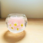 ボタニカルジェルキャンドル　さくら