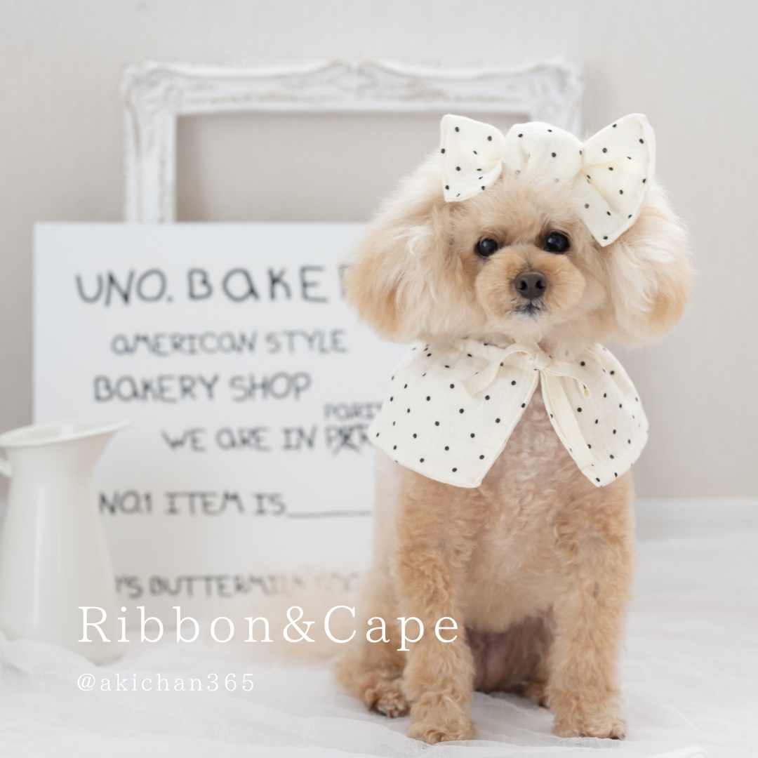 ふわふわゴージャスおめかしドレス♡ファーケープ付き♡　犬服　ハンドメイド ふわふわゴージャスおめかしドレス♡ファーケープ付き♡犬服