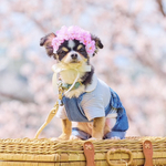 桜の花冠 横長タイプ  淡いピンク ♡ 桜 ヘッドドレス 花冠 犬 猫 ペット カチューシャ ピンク リボン 花 冠 誕生日 うちの子記念日 記念日 かぶりもの 被り物 帽子 バースデー ひな祭り