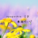 opopothioさま専用ページ𖧷