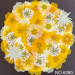 フロックスの押し花☆花材素材