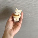  ˙˳⋆ 手のり猫ちゃん (プレーンドーナツにすっぽり)  ˙˳⋆