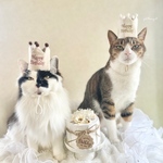 《バースデー*ペット王冠》ペットクラウン　ベージュ　シンプル　王冠　ギフト　かんむり　犬　猫　わんちゃん　ねこちゃん　誕生日　うちのこ記念日　トイプードル　チワワ　うちの子　帽子