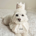 《誕生日*ペットフリル王冠》バースデークラウン　ペットクラウン　王冠　ギフト　かんむり　犬　猫　わんちゃん　ねこちゃん　誕生日　うちのこ記念日　トイプードル　チワワ　うちの子　帽子　　バースデー