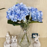 キレイなブルーのアジサイ♪  マジカルウォーターアレンジ　母の日のプレゼントにも♪