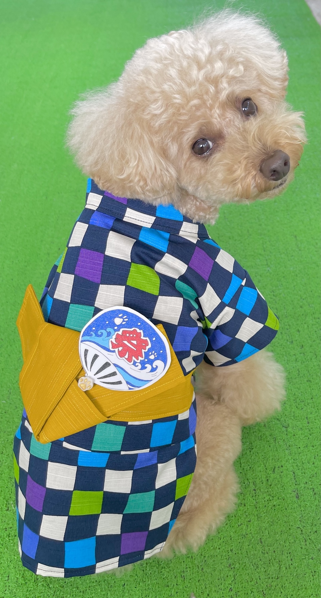 犬服ハンドメイド♡ミィモ♡ 大変お待たせいたしました🙇‍♀️ 発送させて頂きましたので