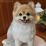 【うちの子オーダー】リアル　愛犬さんのオーダー　羊毛フェルト　オーダー　犬　置物　ペット　オーダーメイド　メモリアル　チワワ　トイプードル　ダックス　ポメラニアン