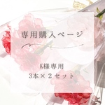 専用購入ページ　　赤3本✖️2セット