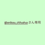 @benikosu_chihuahuaさん専用