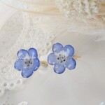 【本物のネモフィラのリング】✿優しいブルーのお花があなたの指を彩ります✿　《送料無料》