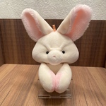 たるたにあん　小さいアイボリー×ピンクの子