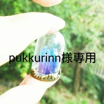 pukkurinn様専用