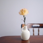 【母の日】枯れないカーネーションの一輪花