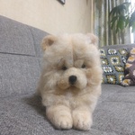 受注製作　羊毛フェルト　チャウチャウ犬