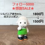 シルバニア赤ちゃん                             　　　　　　　カラフルスリッポン